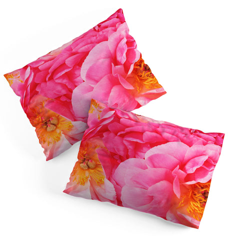 Happee Monkee Hot Pink Peony Pillow Shams