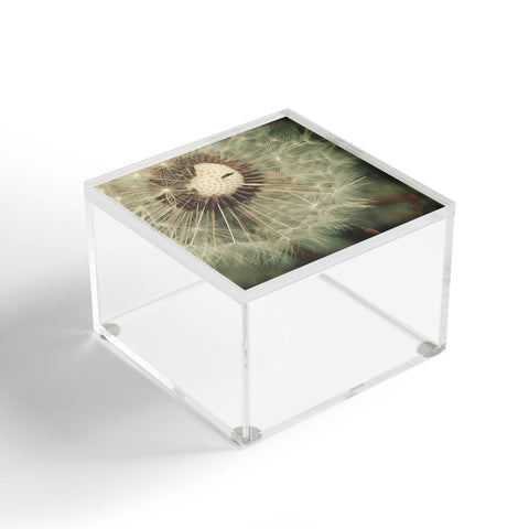 Happee Monkee Lucky Dandelion Acrylic Box