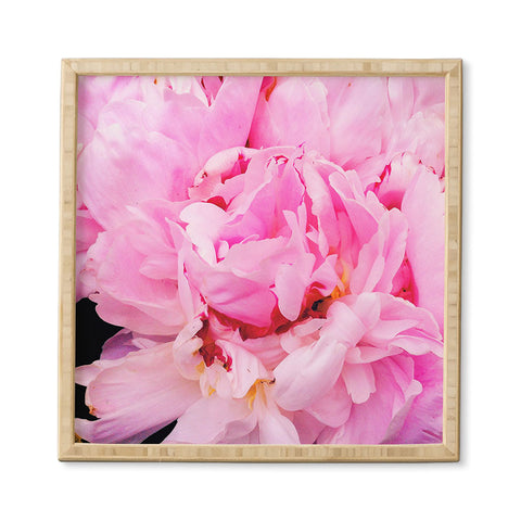 Happee Monkee Pretty Pink Peony Framed Wall Art