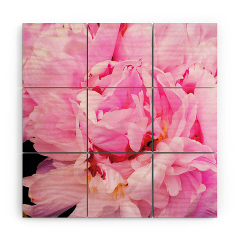 Happee Monkee Pretty Pink Peony Wood Wall Mural