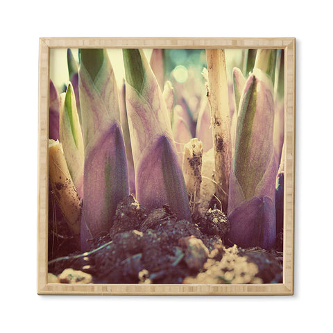 Happee Monkee Purple Roots Framed Wall Art