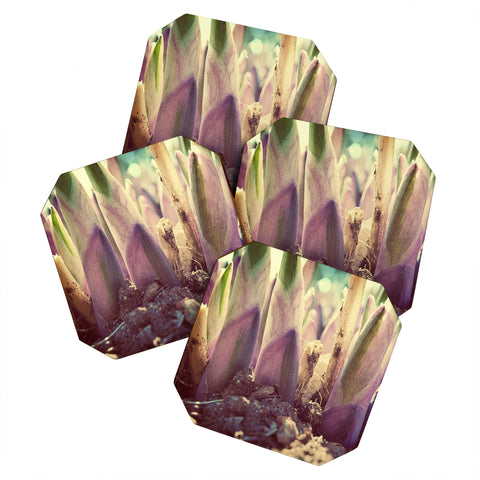 Happee Monkee Purple Roots Coaster Set