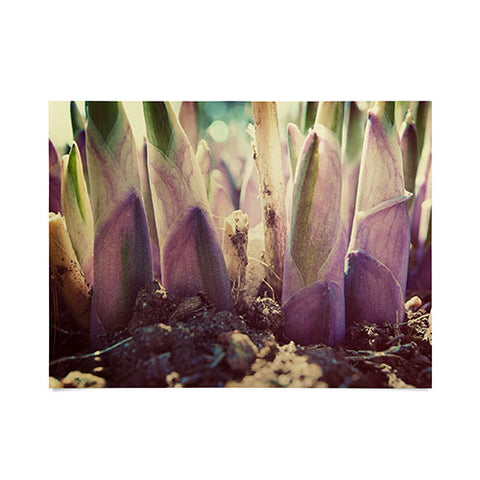 Happee Monkee Purple Roots Poster