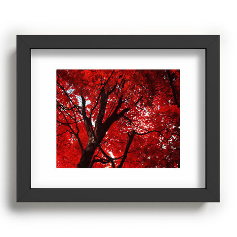 Happee Monkee Red Canopy Recessed Framing Rectangle