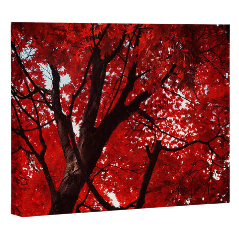 Happee Monkee Red Canopy Art Canvas