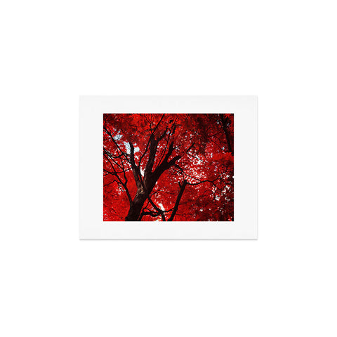 Happee Monkee Red Canopy Art Print