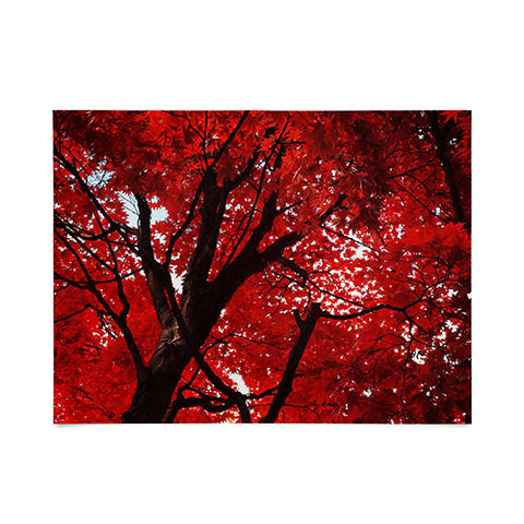 Happee Monkee Red Canopy Poster