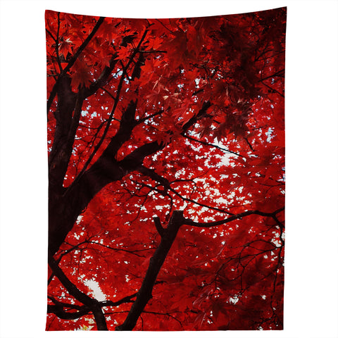 Happee Monkee Red Canopy Tapestry