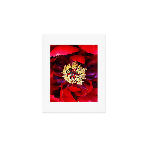 Happee Monkee Red Peony Art Print
