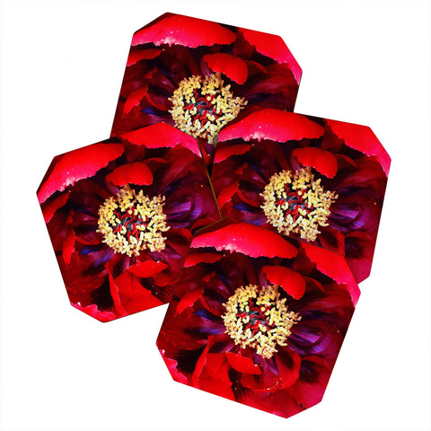 Happee Monkee Red Peony Coaster Set