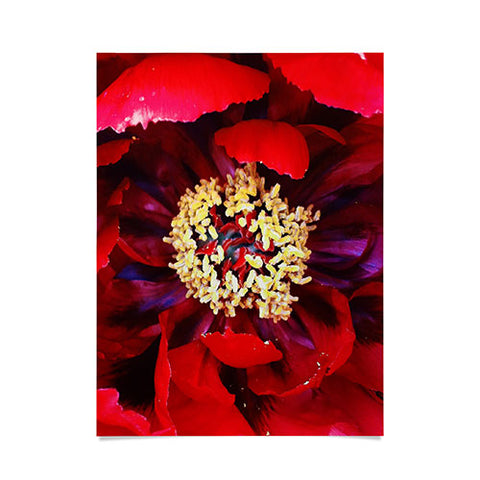 Happee Monkee Red Peony Poster