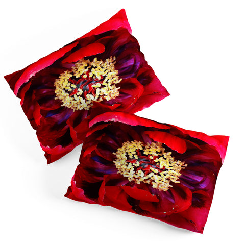 Happee Monkee Red Peony Pillow Shams
