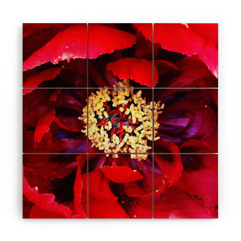 Happee Monkee Red Peony Wood Wall Mural