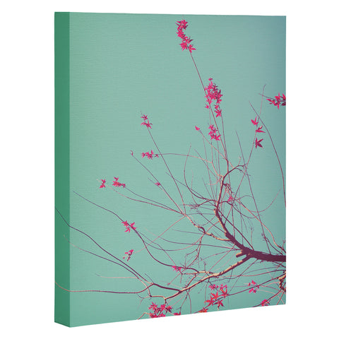 Happee Monkee Red Stars Art Canvas