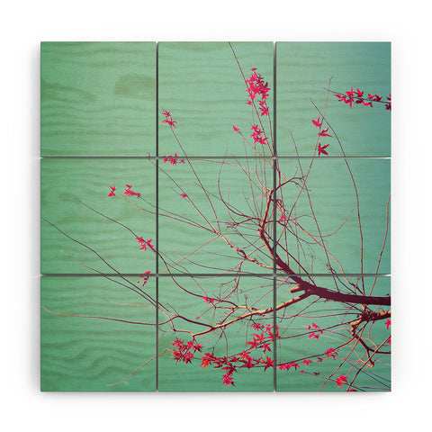 Happee Monkee Red Stars Wood Wall Mural