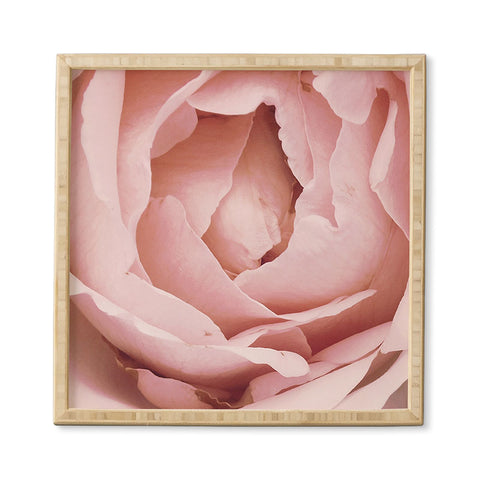 Happee Monkee Versailles Rose Framed Wall Art
