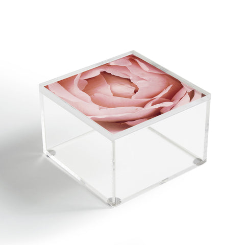 Happee Monkee Versailles Rose Acrylic Box