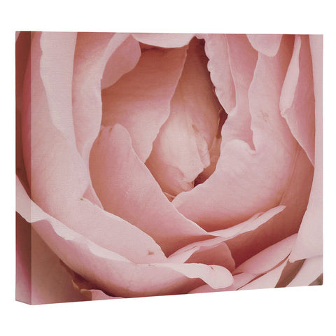 Happee Monkee Versailles Rose Art Canvas