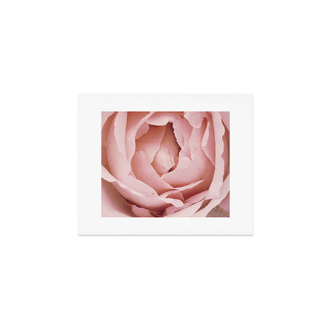 Happee Monkee Versailles Rose Art Print