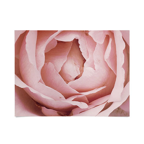 Happee Monkee Versailles Rose Poster