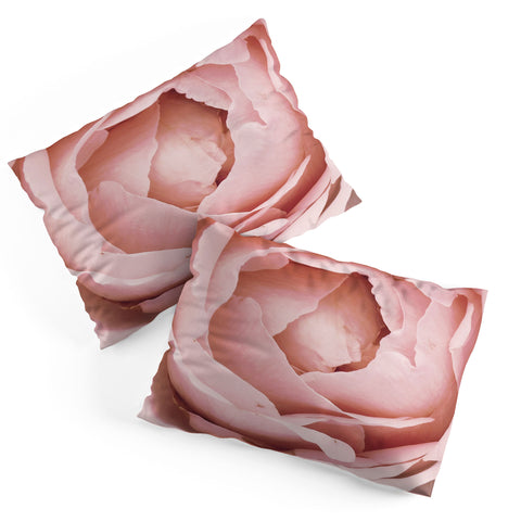 Happee Monkee Versailles Rose Pillow Shams