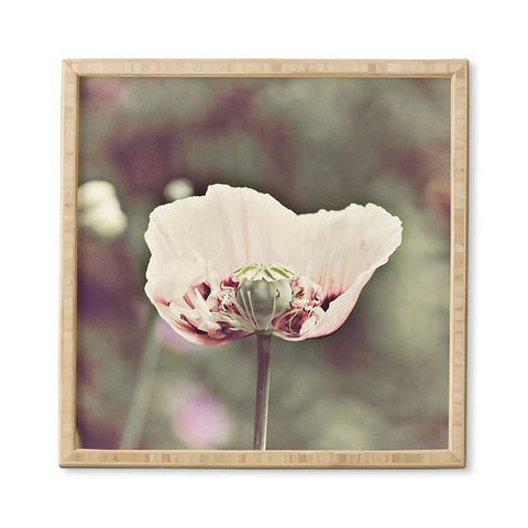 Happee Monkee Violet Poppy Framed Wall Art