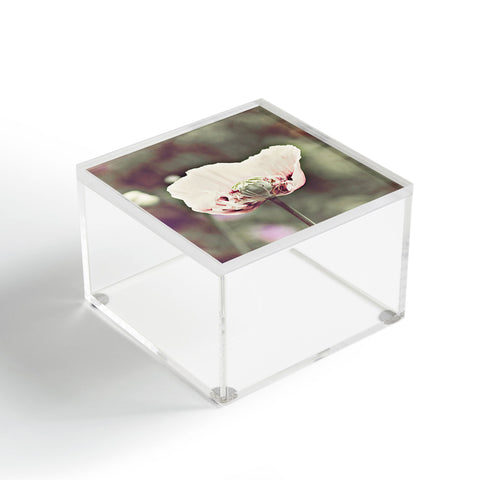 Happee Monkee Violet Poppy Acrylic Box