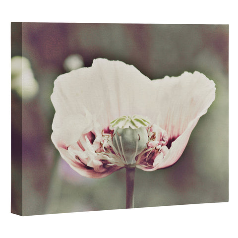 Happee Monkee Violet Poppy Art Canvas