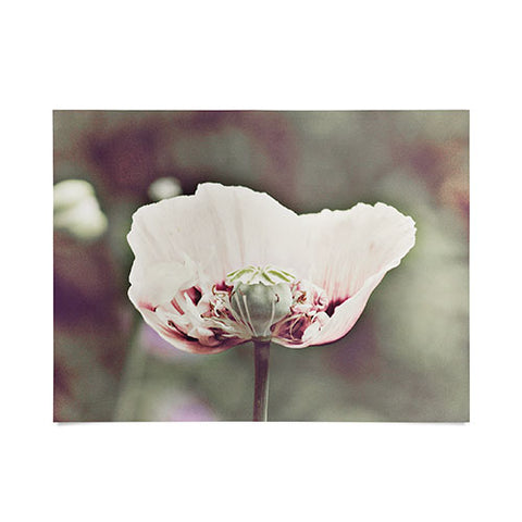 Happee Monkee Violet Poppy Poster