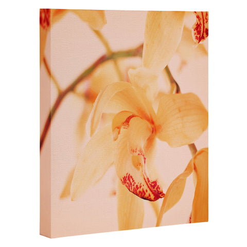 Happee Monkee Wild Orchids 2 Art Canvas