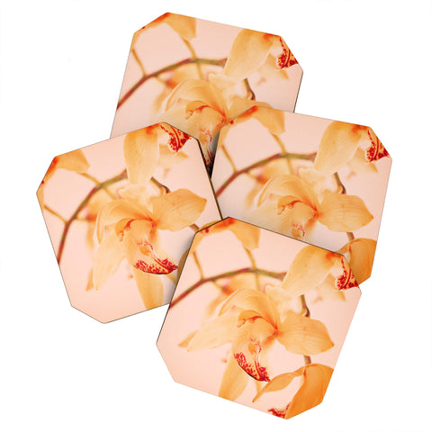 Happee Monkee Wild Orchids 2 Coaster Set