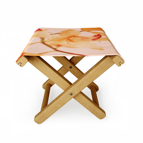 Happee Monkee Wild Orchids 2 Folding Stool