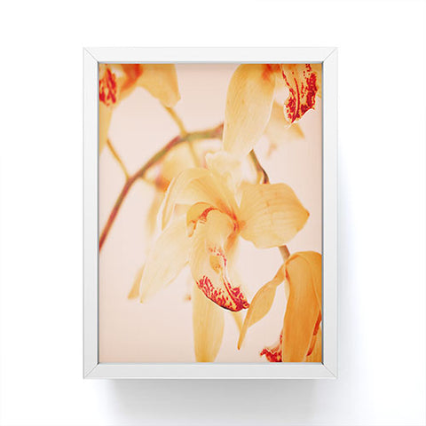 Happee Monkee Wild Orchids 2 Framed Mini Art Print