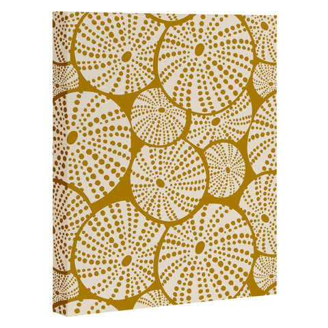 Heather Dutton Bed Of Urchins Gold Ivory Art Canvas