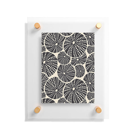 Heather Dutton Bed Of Urchins Ivory Charcoal Floating Acrylic Print