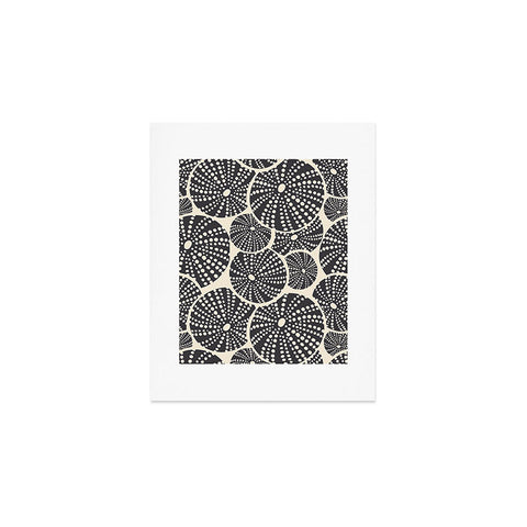 Heather Dutton Bed Of Urchins Ivory Charcoal Art Print