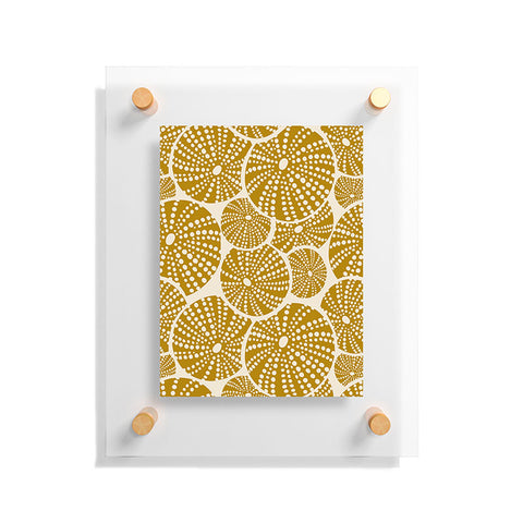 Heather Dutton Bed Of Urchins Ivory Gold Floating Acrylic Print
