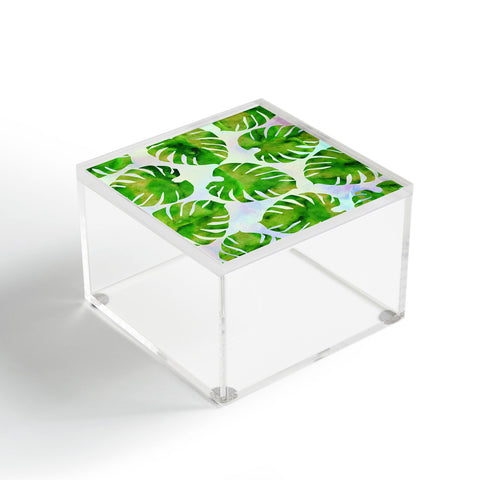 Hello Sayang Monster Monstera Acrylic Box
