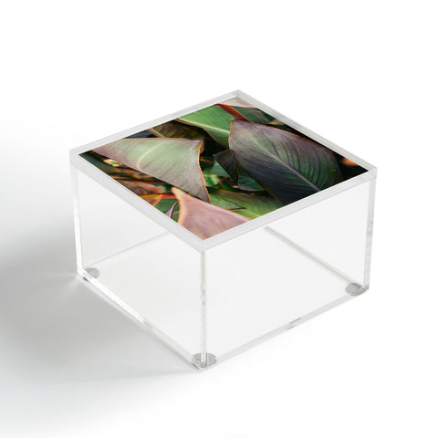 Hello Twiggs Abstract Leaves Acrylic Box
