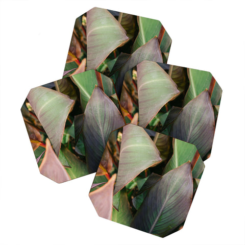 Hello Twiggs Abstract Leaves Coaster Set