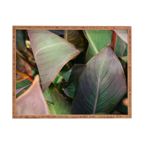 Hello Twiggs Abstract Leaves Rectangular Tray