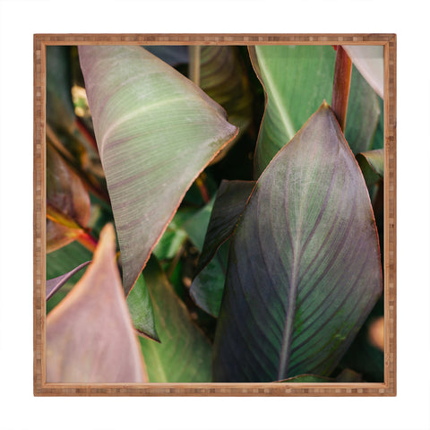 Hello Twiggs Abstract Leaves Square Tray