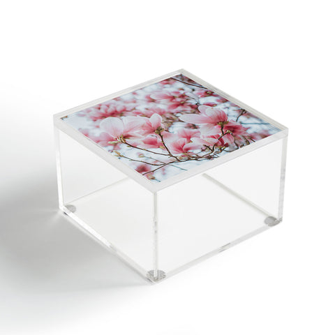 Hello Twiggs Blush Pink Magnolias Acrylic Box