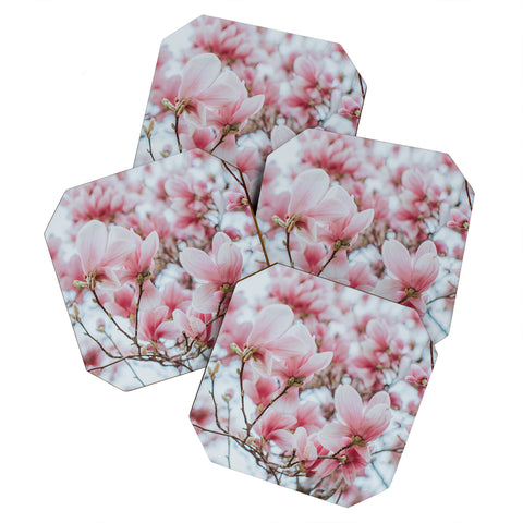 Hello Twiggs Blush Pink Magnolias Coaster Set