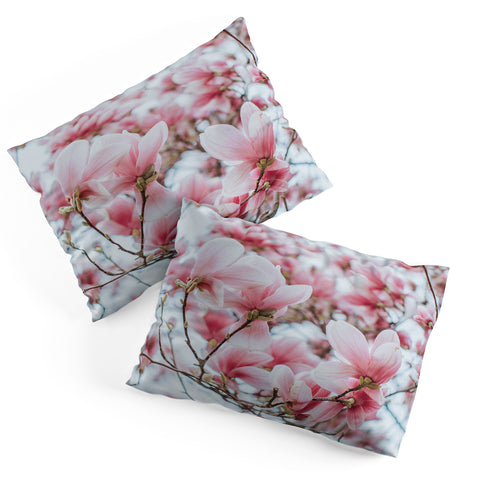 Hello Twiggs Blush Pink Magnolias Pillow Shams