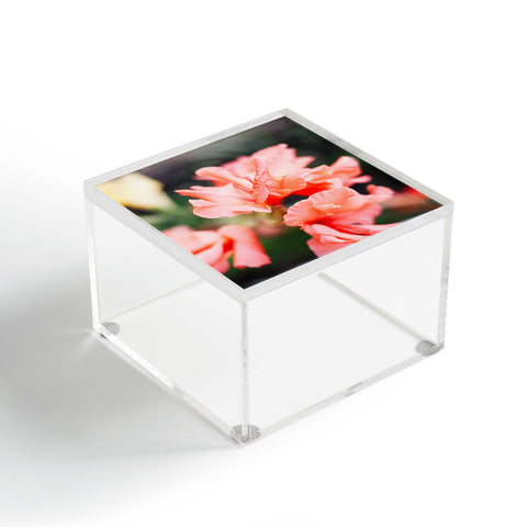 Hello Twiggs Coral Layers Acrylic Box