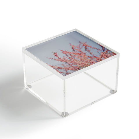 Hello Twiggs Cotton Candy Flowers Acrylic Box