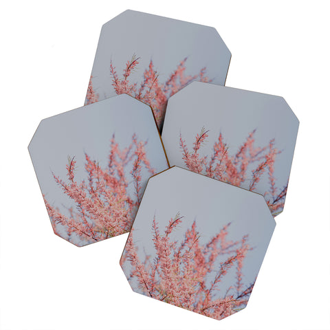 Hello Twiggs Cotton Candy Flowers Coaster Set