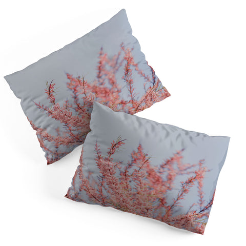 Hello Twiggs Cotton Candy Flowers Pillow Shams