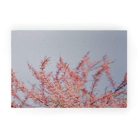 Hello Twiggs Cotton Candy Flowers Welcome Mat